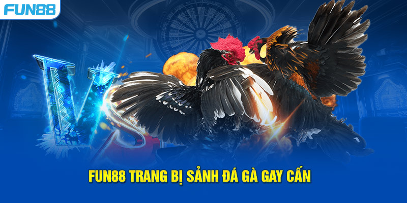 FUN88 trang bị sảnh đá gà gay cấn